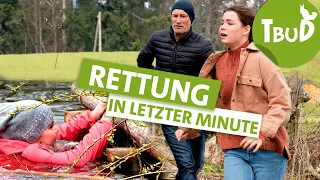 Bleiben oder Gehen? (Folge 106) | Tiere bis unters Dach | SWR Plus