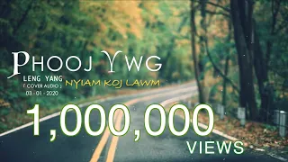 Phooj Ywg Nyiam Koj Lawm - Leng Yang「Cover Audio」