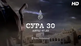 Сура: Ар-Рум | Чтец: Tareq Mohammad