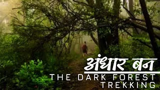 Andhar Ban-Jungle Trek | The dark Forest Trek | lots of water falls #treeking #punekar #vlogs