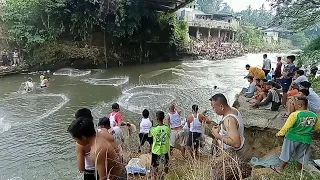Amazing  Video Traditional Cast Net Fishing Natural Village In River Beautiful