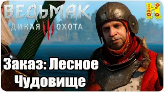 The Witcher 3: Wild Hunt Прохождение №40 Заказ: Лесное Чудовище