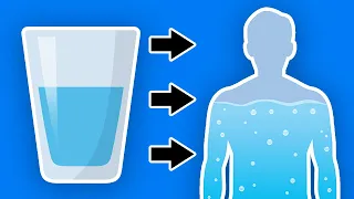 This Happens To Your Body When You Start Drinking More Water Every Day