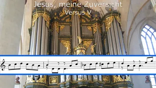 Sietze de Vries - Improvisation on 'Jesus, meine Zuversicht'. Martinikerk Groningen [ANALYSIS]