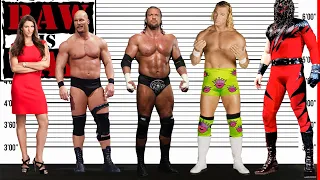 WWE Wrestlers Height Size Comparison | Attitude Era