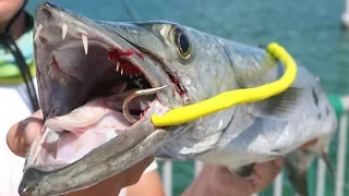 Fish CANNOT Resist My HOMEMADE Lure! EPIC Topwater Barracuda Fishing