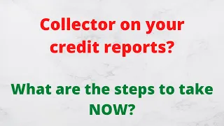 What are your options when you find a collector on your credit reports?