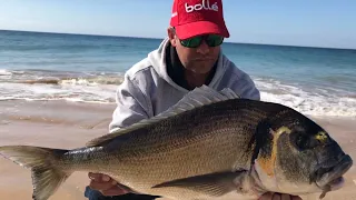 UNA GRAN PICADA DE 1500 EUROS PERDIDOS RAUL MARIO SURFCASTING DORADA GIGANTE 2023