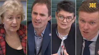 Tory MP schooled by economists over ridiculous line of questioning at Select Committee