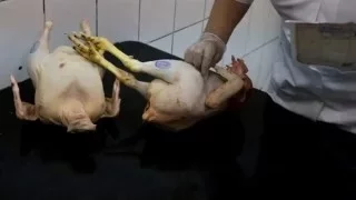 Как проверить курицу