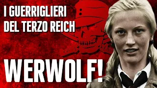 Gli ULTIMI Guerriglieri Del TERZO REICH: WERWOLF!