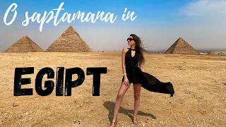 EGIPT 2021: Merită? Resort All Inclusive Hilton Hurghada Plaza (Excursii Cairo, Luxor, etc) + Q&A