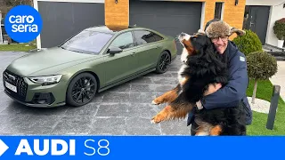 Audi S8, one tanker and a dog! (ENG 4K) | CaroSeria