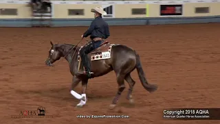 BEJEWLED ridden by KEVIN ROSENBAUM   2018 AQHA World Show Am  Reining, FINALS