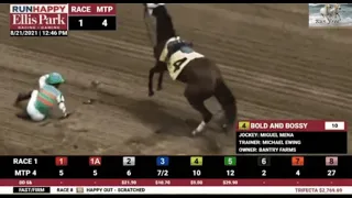 Racehorse throws jockey, runs onto highway, THEN survives barn fire!