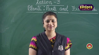 Class 3 | Science | L-3 | Plants: Parts & Function | Part-1 | The Root System | Mrs. Shweta Devendra