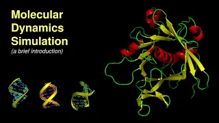 An Introduction to Molecular Dynamics Simulation