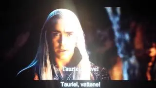 Lo Hobbit - "La Desolazione di Smaug" - Thranduil, Legolas, Tauriel & ... Orco