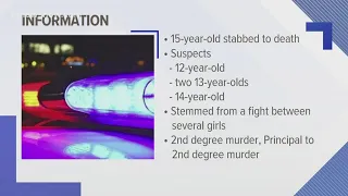 Four juveniles arrested in connection to stabbing death of 15-year-old