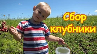 Семья Бровченко. Поездка по лесную клубнику. (07.16г.)
