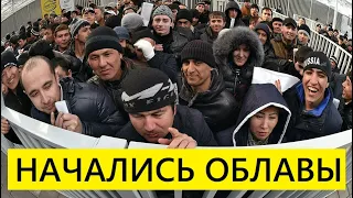 ШОК! Начались Массовые Аресты Мигрантов в Аэропортах. Более Сотни Задержаны...