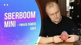 SberBoom Mini | Как подключить и настроить | Как решить проблемы с подключением