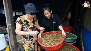 Ăn đặc sản Don Gáo Dừa Bà Cẩm hơn 80 năm nổi tiếng Quảng Ngãi