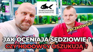 MICHAŁ PACZKOWSKI - MISTRZOSTWA KREWETEK OZDOBNYCH - WAŻNE INFORMACJE / Warszawskie Dni Akwarystyki