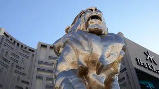 MGM Grand Lion MGM Hotel & Casino Las Vegas Blvd Las Vegas Nevada USA May 16, 2024