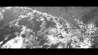 Myslovitz - Tysiąc żurawi (official video)