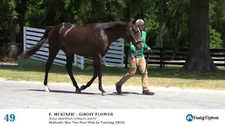 HIP 49 MCKINZIE - GHOST FLOWER