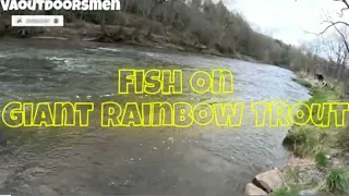 Chasing Big Rainbow Trout With Joe's Flies Spinner Little River Floyd Va 2024