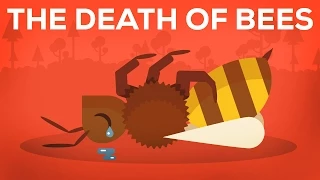 The Death Of Bees Explained – Parasites, Poison and Humans