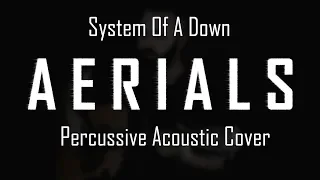 System Of A Down - Aerials Acoustic Cover w/ percussion