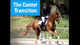 The Trot Canter Transition: Common Mistakes and Fixes