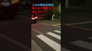 信号機のない横断歩道、歩行者渡らせてくれない。。愛知の現状＃shorts