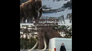 Columbian Mammoth vs Woolly Mammoth #debate #whoisstrongest #edit #vsbattle