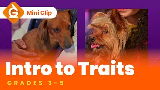 Inherited Traits Video Lesson for Kids | Grades 3-5 Science | Mini Clip