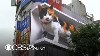 3D digital billboard image of a giant cat draws attention in Tokyo