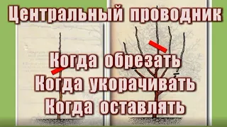 423_Центральный проводник. Когда обрезать, когда укорачивать, а когда оставлять.