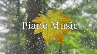 🪴비오는날의 감성으로 듣는 잔잔한 피아노 음악 (calm piano music)