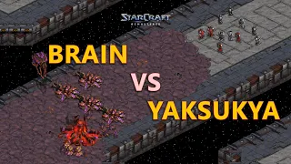 Brain el mejor jugador de Fastest jugando con Zerg - StarCraft Remastered