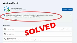 How to fix we couldn't install this update but you can try again (0x8007000d) in Windows 11