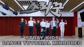 STRAY KIDS - "소리꾼 (THUNDEROUS)" (DANCE TUTORIAL SLOW MIRRORED)