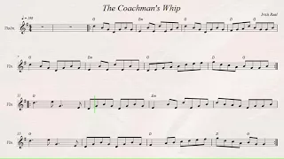 The Coachman's Whip