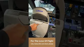 How to Sit in a Boeing 787 Cockpit