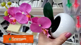 Магазин ГАЛАМАРТ. Новинки вам точно понравятся.Успей купить.Март 2022