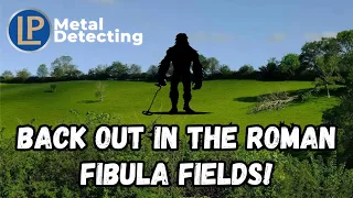 Back out metal detecting in the roman fibula fields! Equinox 800
