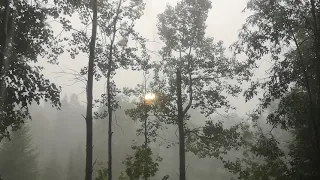 Crazy thunderstorm in a off grid cabin 2021.