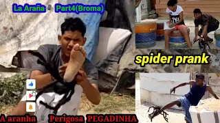 La Araña🕷️ Part4(Broma)/A aranha 🕷️ perigosa PEGADINHA / spider prank